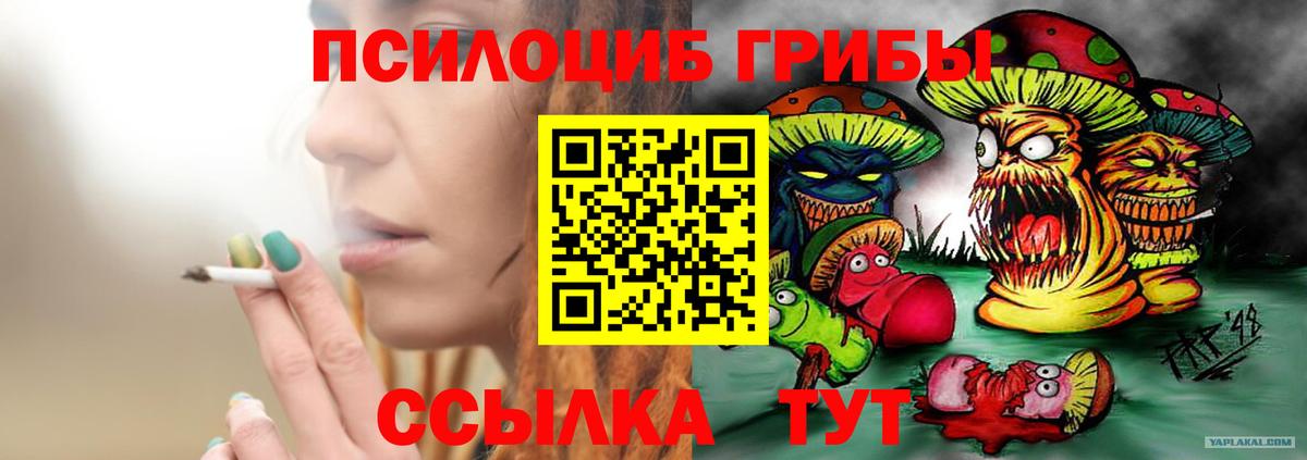 Псилоцибиновые грибы GOLDEN TEACHER Рузаевка